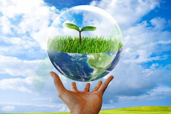 Lập báo cáo (ĐTM) đánh giá tác động môi trường